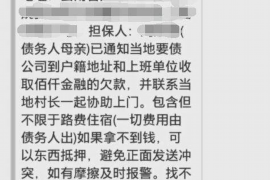 嘉鱼讨债公司